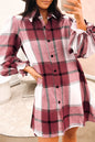 Plaid Pattern Collared Neck Ruffled Sleeve Shirt Dress - Mudiwa 